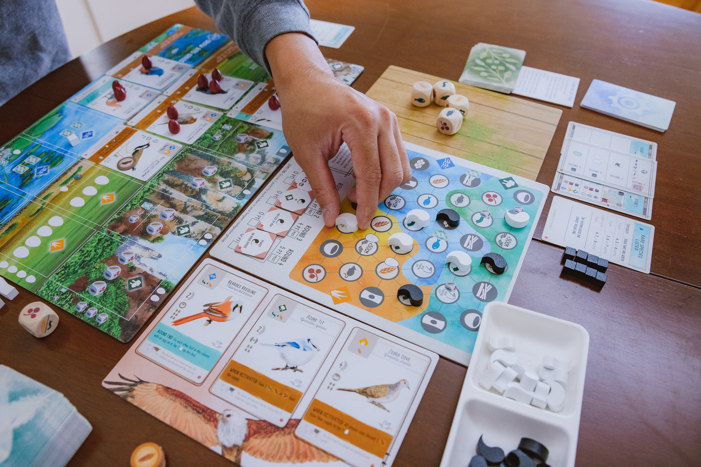 Wingspan Asia Expansion – Board Games – HobbiXchange Christchurch NZ