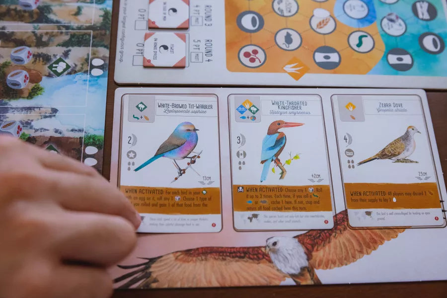 Wingspan Asia Expansion – Board Games – HobbiXchange Christchurch NZ