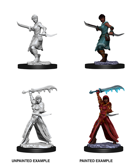 D&D Nolzurs Marvelous Unpainted Miniatures Female Human Rogue