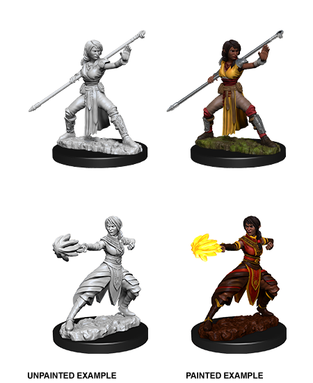 D&D Nolzurs Marvelous Unpainted Miniatures Female Half-Elf Monk