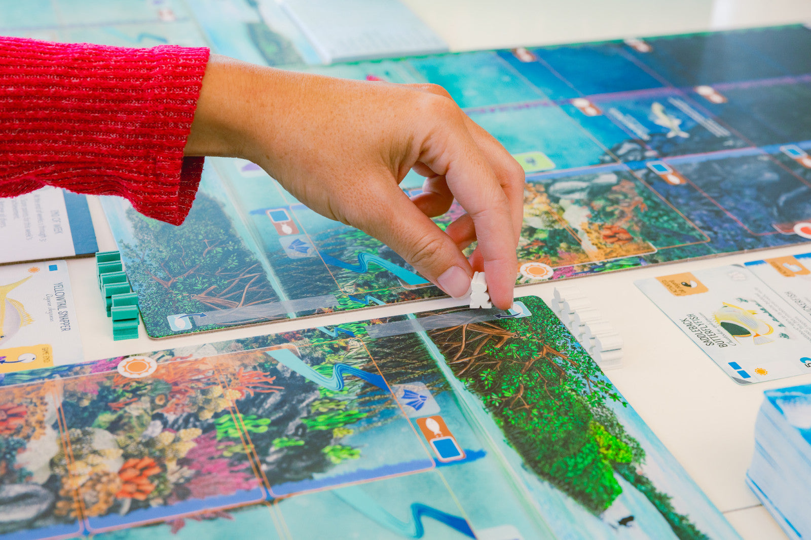 Finspan – Board Game – HobbiXchange Christchurch NZ