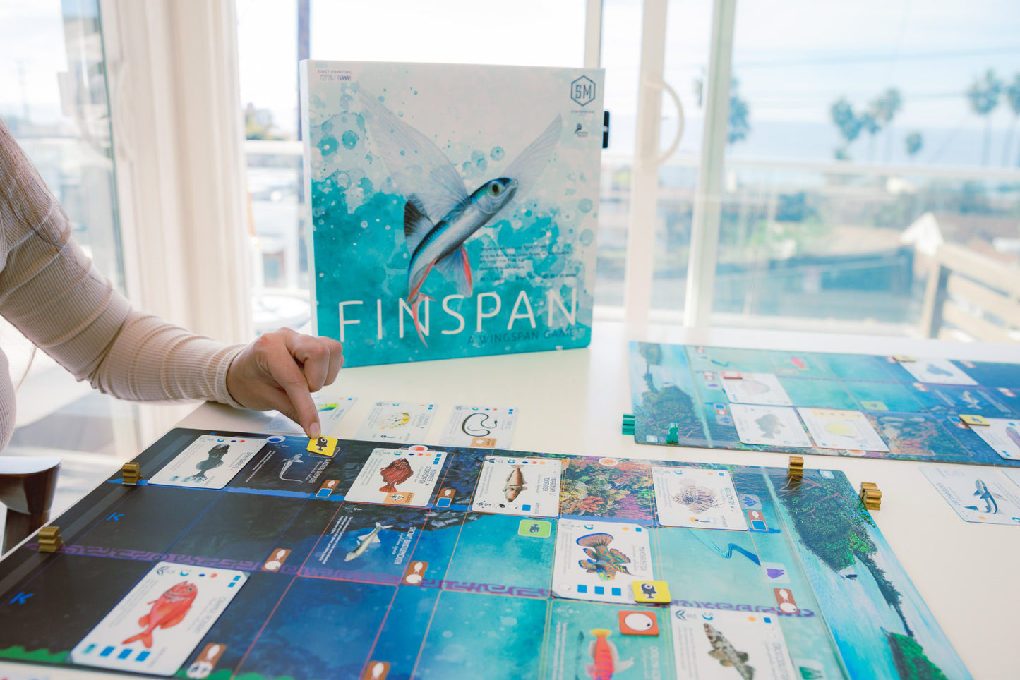 Finspan – Board Game – HobbiXchange Christchurch NZ