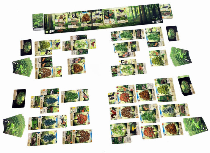 Forest Shuffle – Board Games – HobbiXchange Christchurch NZ