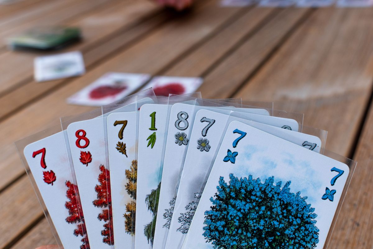 Arboretum Board Game | Strategic Tree-Planting Card Game for 2-4 Players | Family Strategy Game