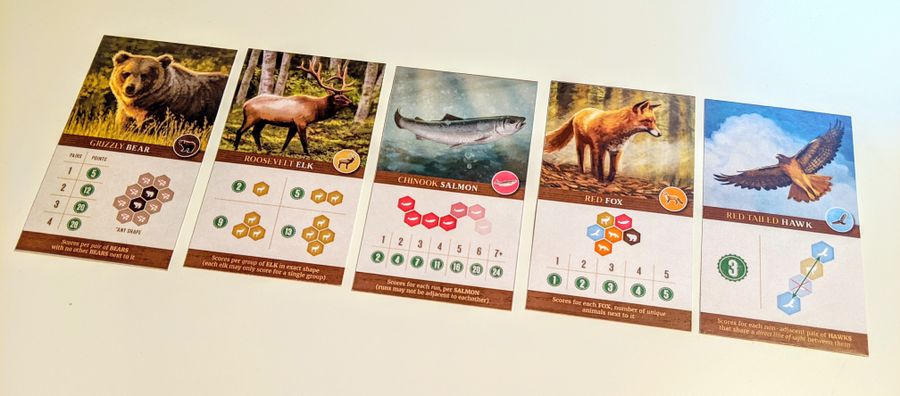 Cascadia Board Game – Pacific Northwest Wildlife & Habitat Tile-Laying Strategy Game