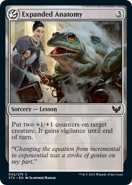 Magic the Gathering Expanded Anatomy - HobbiXchange