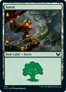 Magic the Gathering Forest (375) - HobbiXchange