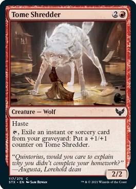 Magic the Gathering Tome Shredder - HobbiXchange