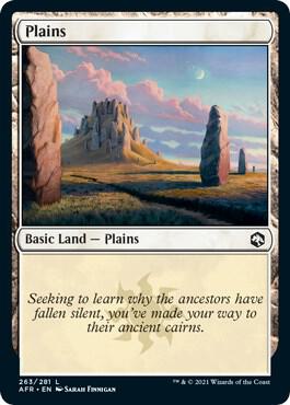 Magic the Gathering Plains (263) - HobbiXchange