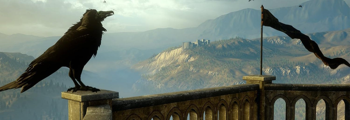 Dragon Age Inquisition - PS4