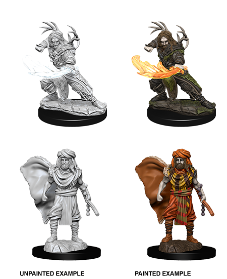 D&D Nolzurs Marvelous Unpainted Miniatures Male Human Druid