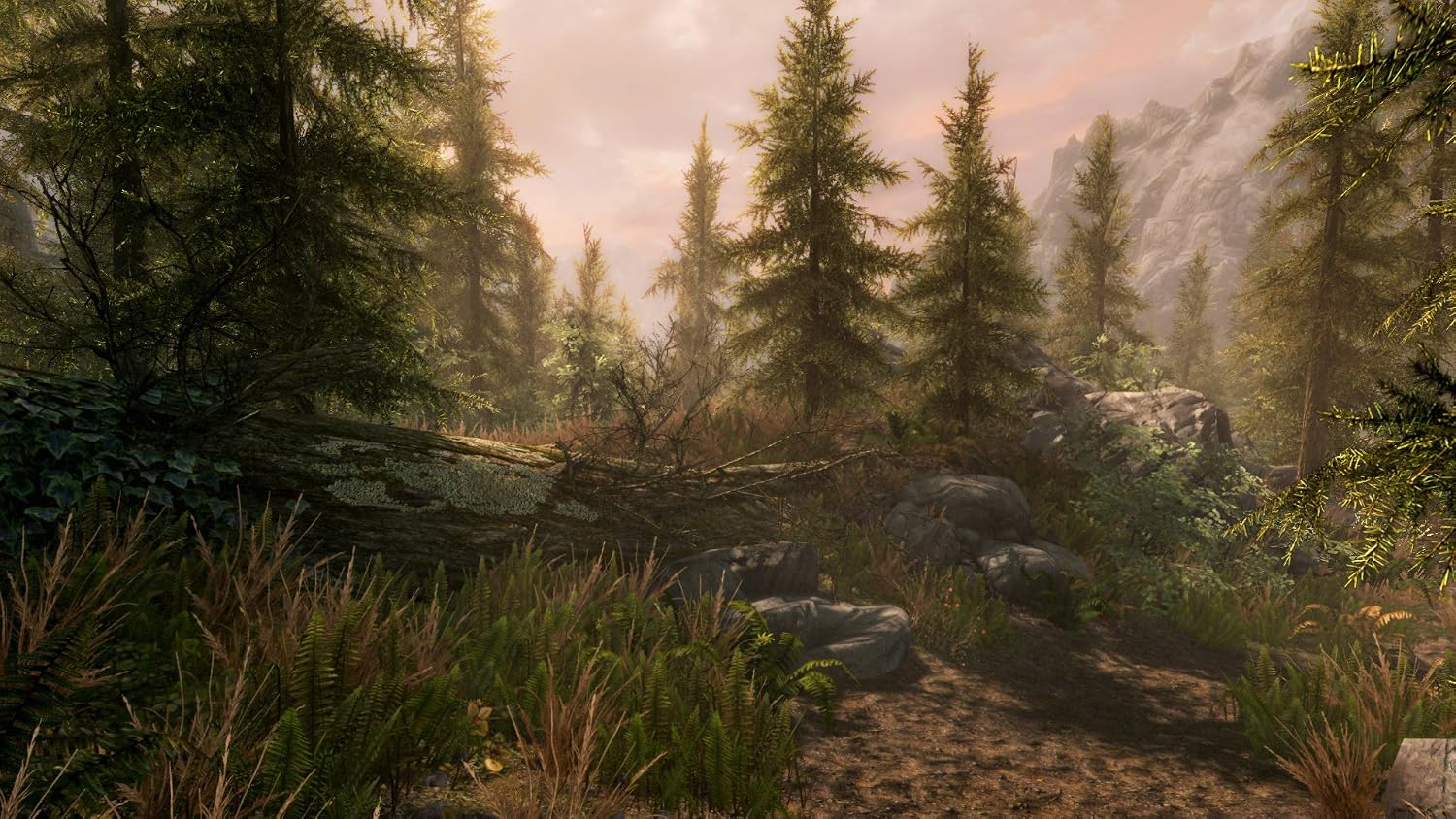 The Elder Scrolls V: Skyrim Special Edition - Xbox One