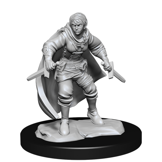 D&D Nolzurs Marvelous Unpainted Miniatures Half-Elf Rogue Female