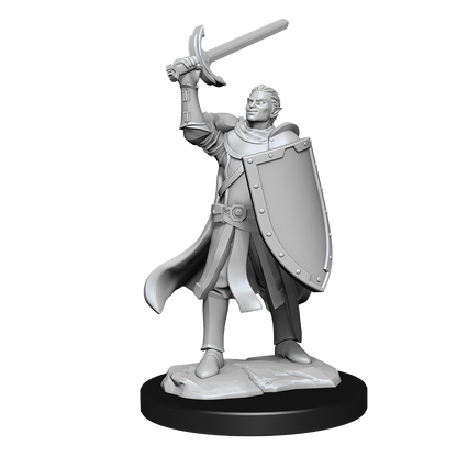 D&D Nolzurs Marvelous Unpainted Miniatures Half-Elf Paladin Male