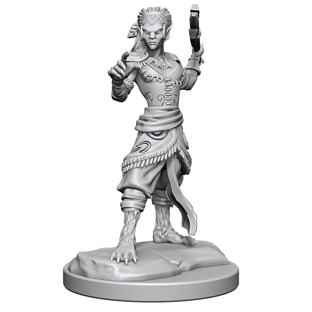 D&D Nolzurs Marvelous Miniatures Shifter Fighter