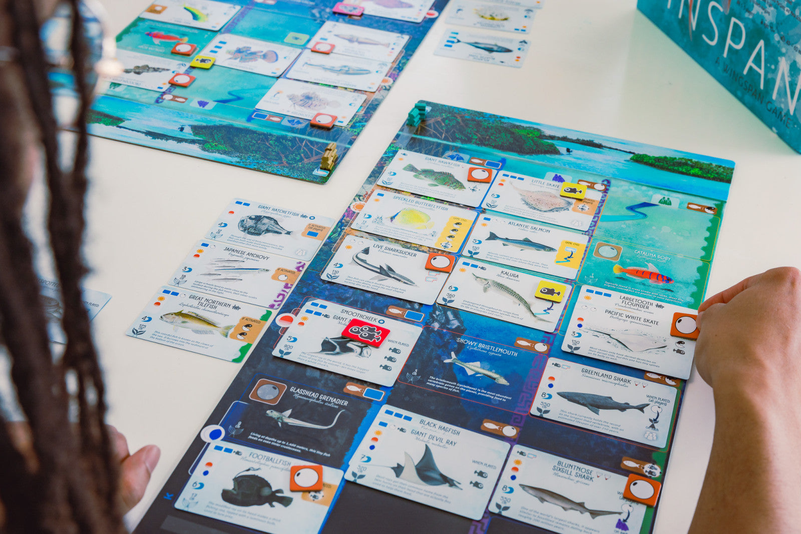 Finspan – Board Game – HobbiXchange Christchurch NZ