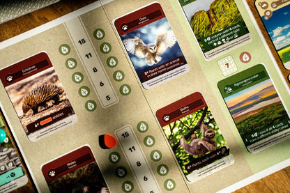 Earth Board Game