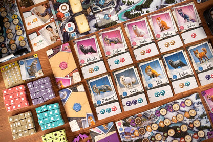 The Fox Experiment Game